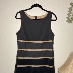 Black & Tan Mesh Dress